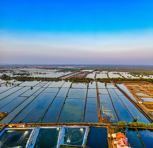 Fresh Water Fish Farming